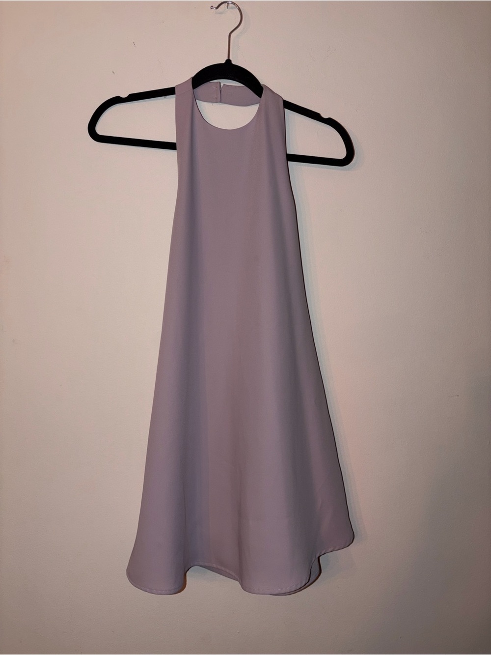TOBI Lilac Backless Halter Mini Dress ✨
Size Small | Like New / Never Worn - Picture 4 of 6